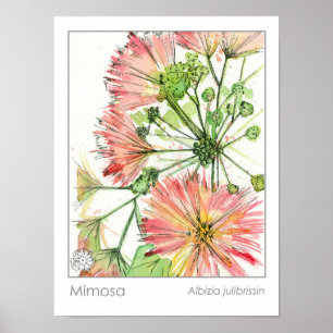 ミモサ植物ピンクの花薬草 ポスター