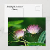 ミモサ鮮やかフラワー ポストカード (正面/裏面)