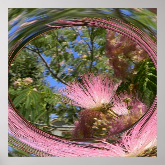 ミモサ… ポスター (正面)