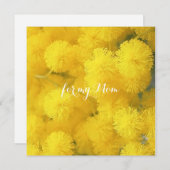 ミモサ。黄色の春の花 (正面/裏面)