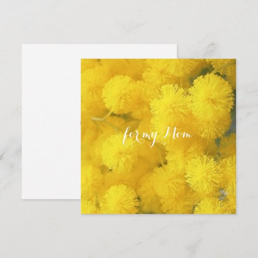 ミモサ。黄色の春の花 (正面/裏面)