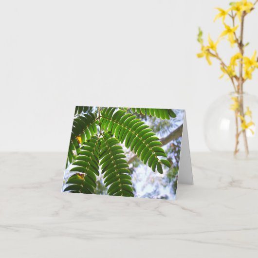 ミモザ葉 カード (黄色い花)