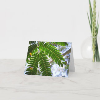 ミモザ葉 カード