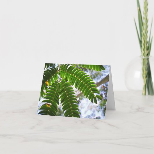 ミモザ葉 カード (正面)