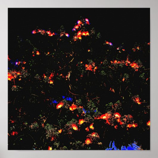 ミモ白熱［赤熱］光を放つサツリー ポスター (正面)