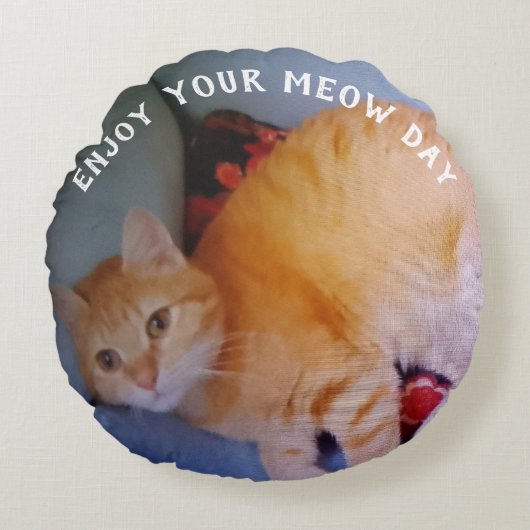 ミャオデイを楽しもう 猫の写真2枚 円形クッション (正面)