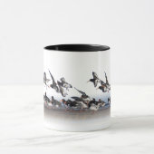 ミヤコドリ族にマグを食べ物を与えます マグカップ (中央)