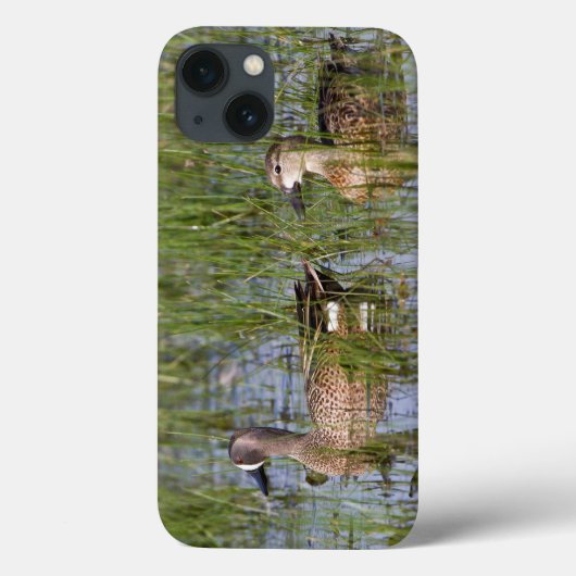 ミヤコドリ(オスとメス)の湿地 Case-Mate iPhoneケース (裏面)