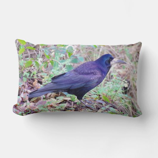 ミヤマガラスのクッション ランバークッション (正面)