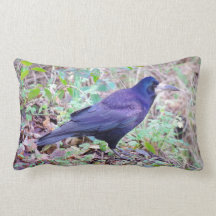 ミヤマガラスのクッション