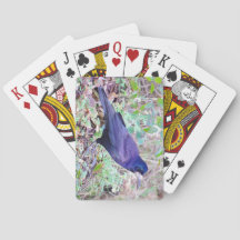 ミヤマガラスのトランプ