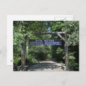 ミュアウッズのポストカード ポストカード (正面/裏面)