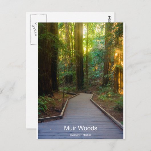 ミュアウッズウォークウェイカリフォルニア製品 ポストカード (正面/裏面)