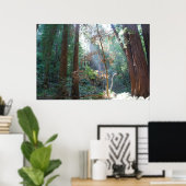 ミュアウッズカリフォルニア ポスター (ホームオフィス)