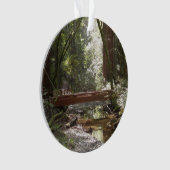 ミュアウッズブリッジII オーナメント (正面)