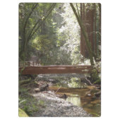 ミュアウッズブリッジII クリップボード (裏面)