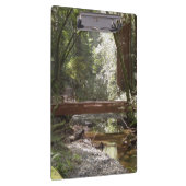 ミュアウッズブリッジII クリップボード (右)