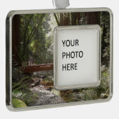 ミュアウッズブリッジII シルバープレートフレームオーナメント (右)