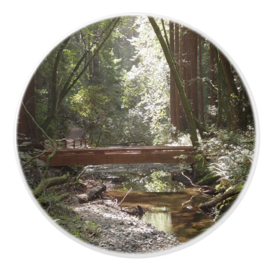 ミュアウッズブリッジII セラミックノブ (正面)