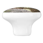 ミュアウッズブリッジII セラミックノブ (側面)