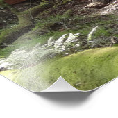 ミュアウッズブリッジII フォトプリント (角)