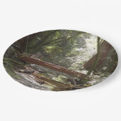 ミュアウッズブリッジII ペーパープレート (アングル)