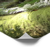 ミュアウッズブリッジII ポスター (角)