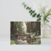 ミュアウッズブリッジII ポストカード (スタンド正面)