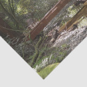 ミュアウッズブリッジII 薄葉紙 (詳細)