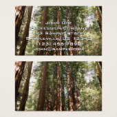 ミュアウッズ国定記念碑でレッドウッズII (正面&裏面)