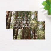 ミュアウッズ国定記念碑でレッドウッズII (デスク)