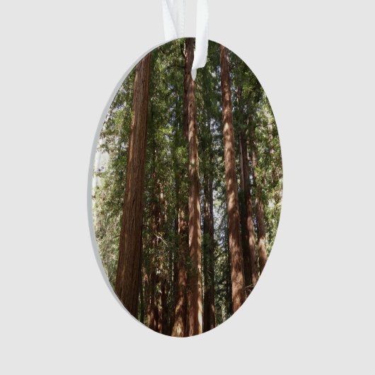 ミュアウッズ国定記念碑でレッドウッズII オーナメント (正面)