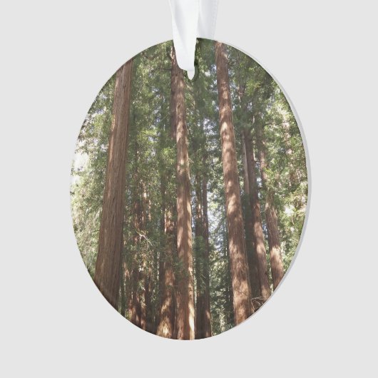 ミュアウッズ国定記念碑でレッドウッズII オーナメント (正面)