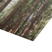 ミュアウッズ国定記念碑でレッドウッズII カッティングボード (角)