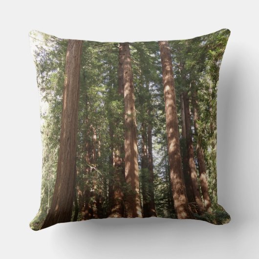 ミュアウッズ国定記念碑でレッドウッズII クッション (裏面)