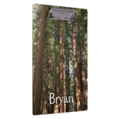 ミュアウッズ国定記念碑でレッドウッズII クリップボード (右)