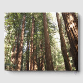 ミュアウッズ国定記念碑でレッドウッズII ゲストブック (裏面)