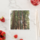 ミュアウッズ国定記念碑でレッドウッズII スタンダードカクテルナプキン (インサイチュ)