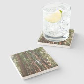 ミュアウッズ国定記念碑でレッドウッズII ストーンコースター (横)