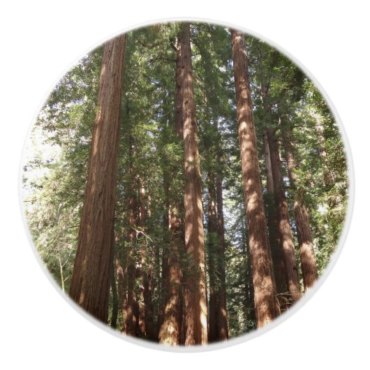 ミュアウッズ国定記念碑でレッドウッズII セラミックノブ (正面)