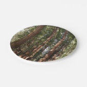 ミュアウッズ国定記念碑でレッドウッズII ペーパープレート (アングル)