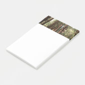 ミュアウッズ国定記念碑でレッドウッズII ポストイット (アングル)