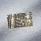 ミュアウッズ国定記念碑でレッドウッズII マグネット名刺 (インサイチュ)