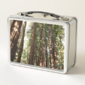 ミュアウッズ国定記念碑でレッドウッズII メタルランチボックス (裏面)