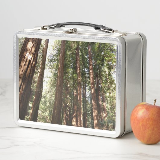 ミュアウッズ国定記念碑でレッドウッズII メタルランチボックス (インサイチュ)