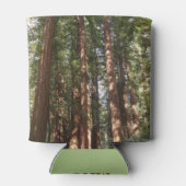 ミュアウッズ国定記念碑でレッドウッズII 缶クーラー (裏面)