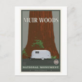ミュアウッズ国定記念碑1 ポストカード (正面)