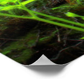 ミュアウッズ国立公園のレッドウッズ ポスター (角)