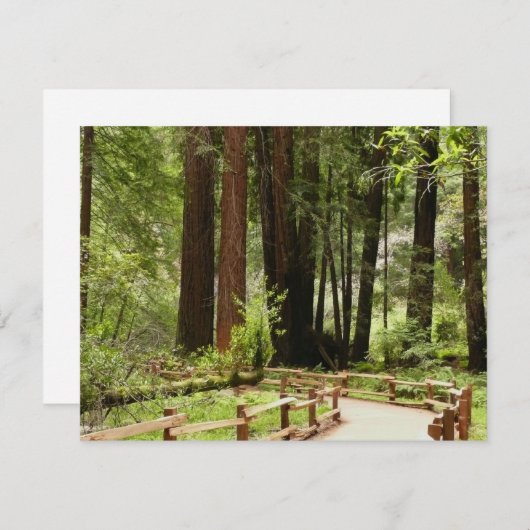 ミュアウッズPath I自然写真 (正面/裏面)