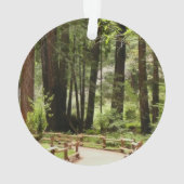 ミュアウッズPath I自然写真 オーナメント (裏面)